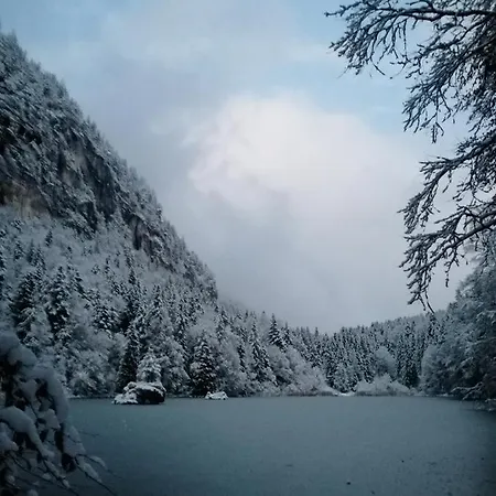 Freundsheimhof Apartament