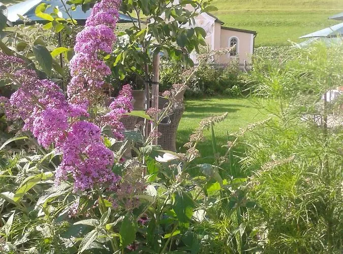 Freundsheimhof Apartment *