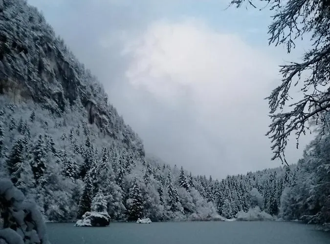 Freundsheimhof Apartment