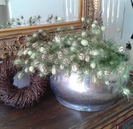 Freundsheimhof Appartement *