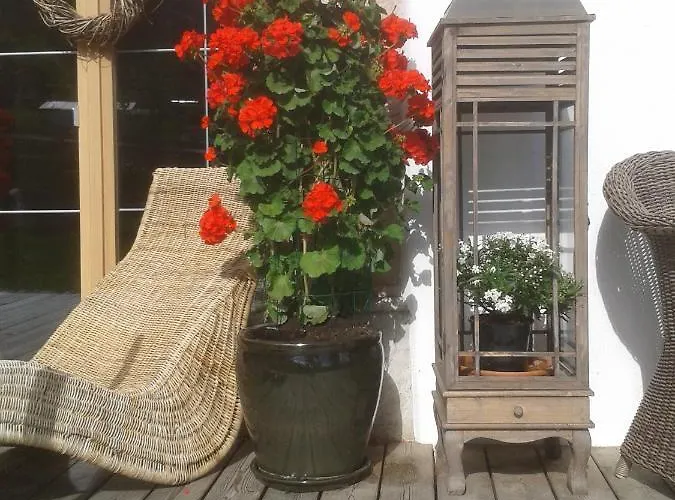 弗伦施艾姆霍夫公寓 公寓 *