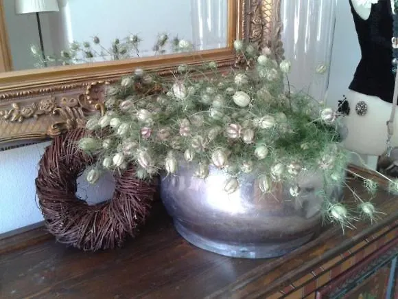 Freundsheimhof Lägenhet *